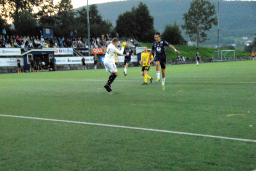 Varfjell - Tomrefjord 2023